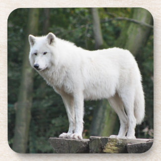 Porta-copo Lobo branco selvagem