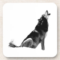 Lobo-de-Howling Branco-Preto