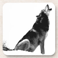 Lobo-de-Howling Branco-Preto