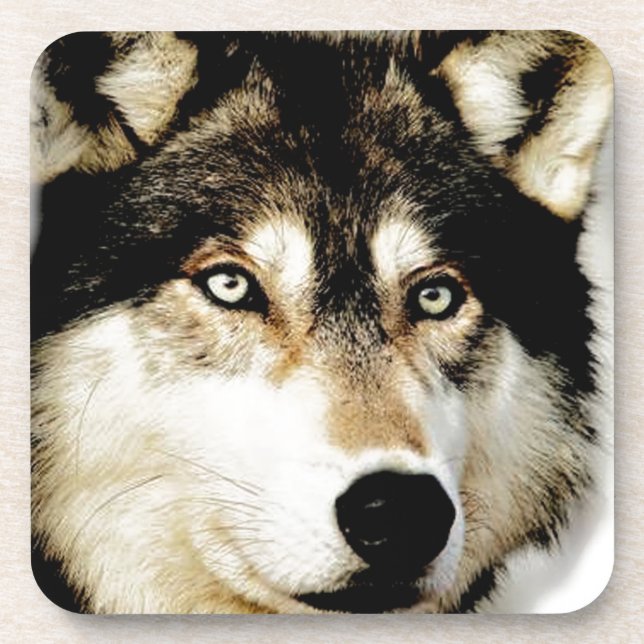 Porta-copo Lobo Motivacional Único (Frente)