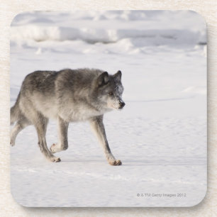 Porta-copo Lobo que funciona na neve