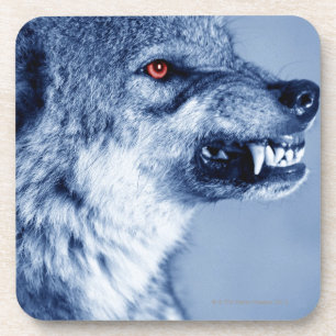 Porta-copo Lobo Snarling (lúpus de Canis), perfil (Digital