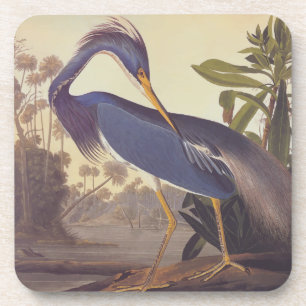 Porta-copo Lousiana Heron em Cinzas, Verde e Azul em Audubon