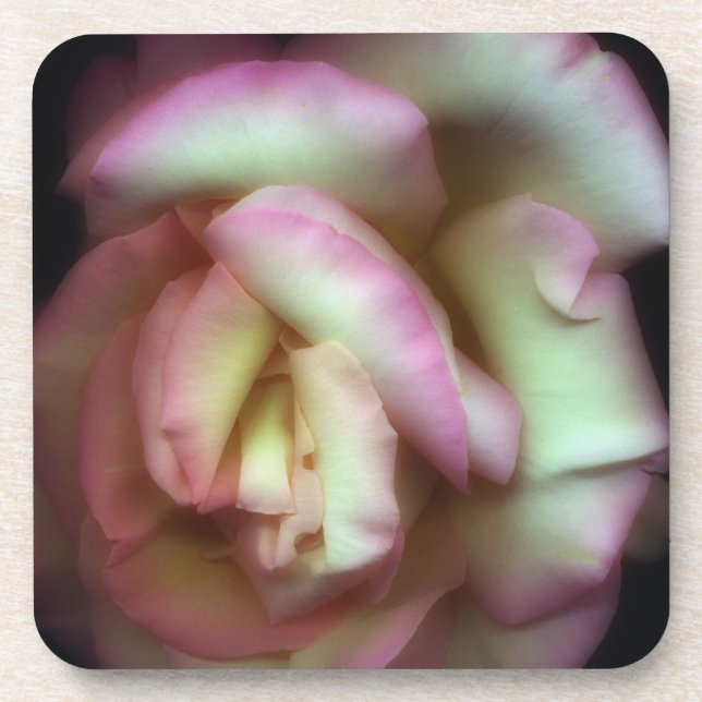 Porta-copo <Love is a Rose> por Nathan Griffith (Frente)