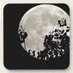 Porta-copo Lua atrás das folhas escuras