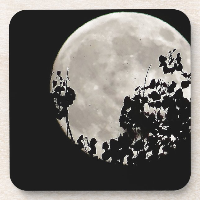 Porta-copo Lua atrás das folhas escuras (Frente)