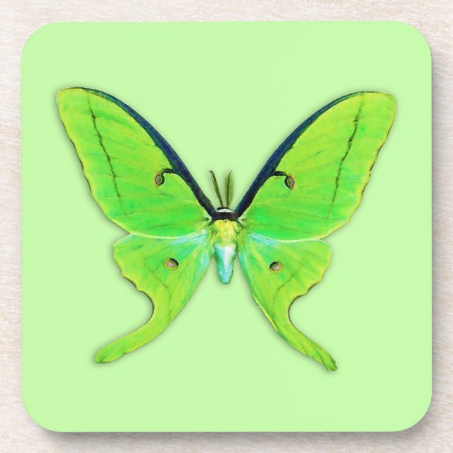 Porta-copo Luna moth com um fundo verde pálido (Frente)