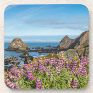 Porta-copo Lupine Wildflower Cobrir As Colinas