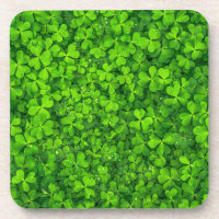 Lush Green Clovers com gotas de água