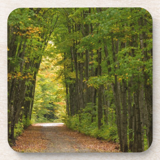 Porta-copo Luz No Final De Um Túnel De Árvores (Frente)