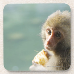Porta-copo Macaco
