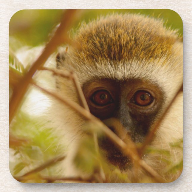 Porta-copo Macaco atrevido. (Frente)