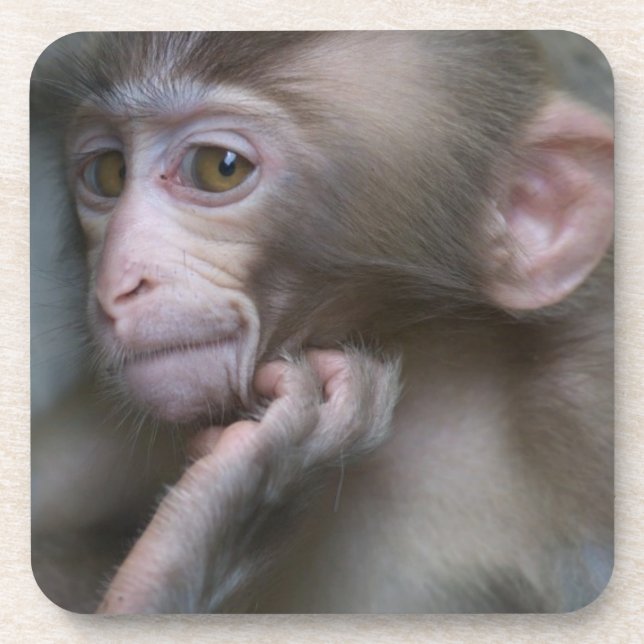 Porta-copo Macaco-Bebê (Frente)