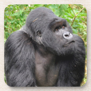 Porta-copo Macaco Feliz