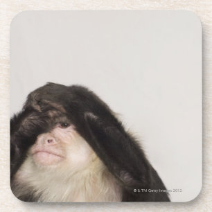 Porta-copo Macaco que cobre seus olhos