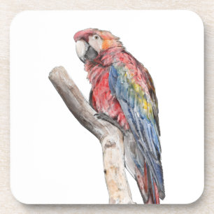 Porta-copo Macaw Parrot Watercolor