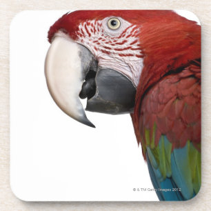 Porta-copo Macaw Vermelho-e-verde - chloropterus do Ara