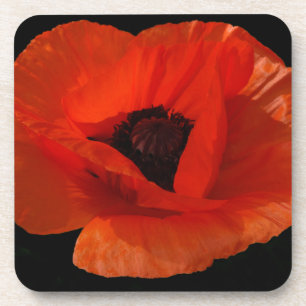 Porta-copo Macro Red Poppy
