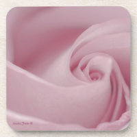 Macro Rosa Rosa Rosa Rosa Rosa Rosa Rosa Rosa Rosa