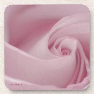 Porta-copo Macro Rosa Rosa Rosa Rosa Rosa Rosa Rosa Rosa Rosa