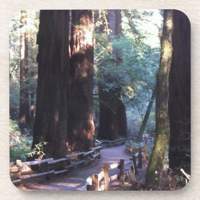 Porta-copo Madeiras de Muir (Frente)