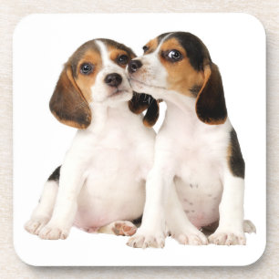 Porta-copo Mãe de Beagle Fofa Amante de Cachorro Pai de Cacho