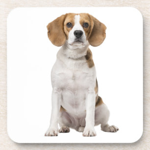 Porta-copo Mãe de Beagle Fofa Amante de Cachorro Pai de Cacho