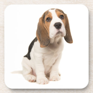 Porta-copo Mãe de Beagle Fofa Amante de Cachorro Pai de Cacho