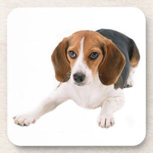 Porta-copo Mãe de Beagle Fofa Amante de Cachorro Pai de Cacho