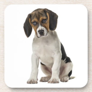Porta-copo Mãe de Beagle Fofa Amante de Cachorro Pai de Cacho