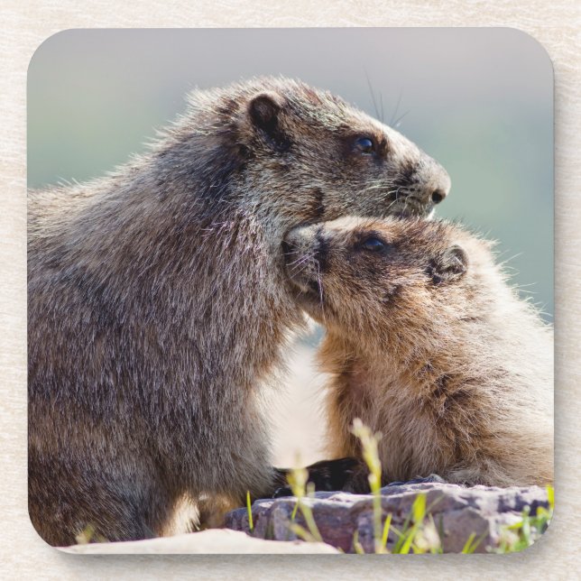 Porta-copo Mãe Marmota com Bebê (Frente)