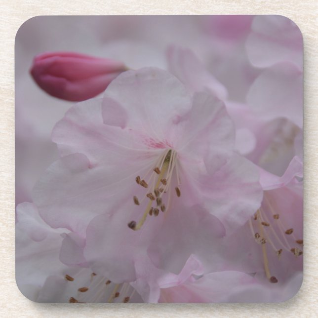 Porta-copo Mãe's Caress (Frente)