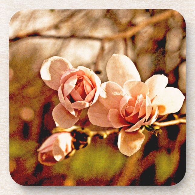 Porta-copo Magnolia a Mente a Rosa (Frente)