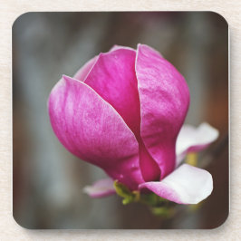 Porta-copo Magnólia Rosa em Flor Completa