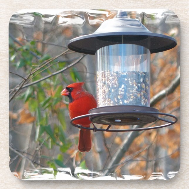 Porta-copo Male Cardinal (Frente)