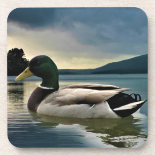 Porta-copo Mallard Duck No Lago