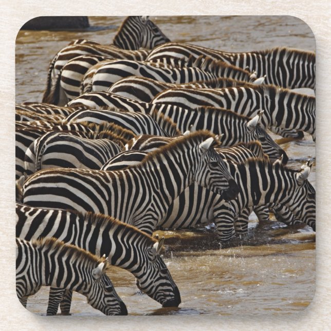Porta-copo Manada de Zebras de Burchell bebendo do Mara (Frente)