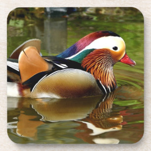 Porta-copo Mandarin Duck
