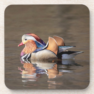 Porta-copo Mandarin Duck