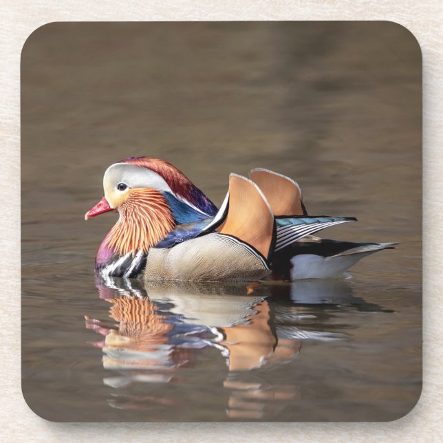 Porta-copo Mandarin Duck (Frente)