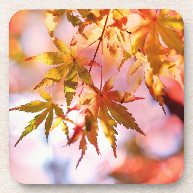 Porta-copo Maple deixa paisagem Design-21355 (Frente)