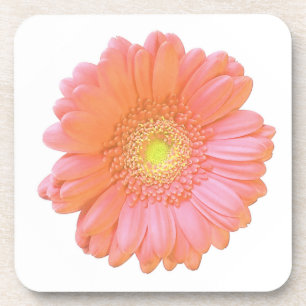 Porta-copo Margarida de gerbera laranja