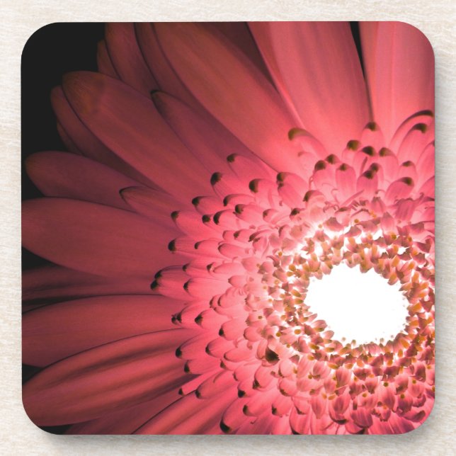 Porta-copo Margarida Gerbera (Frente)