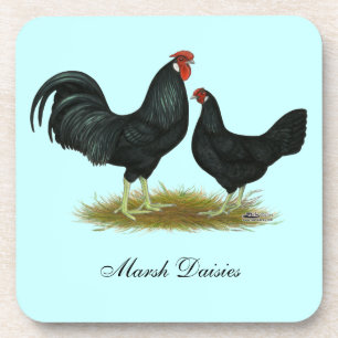 Porta-copo Marsh Daisy Chickens