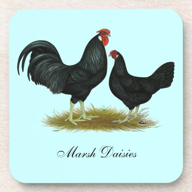 Porta-copo Marsh Daisy Chickens (Frente)
