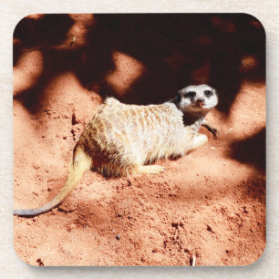 Porta-copo Meerkat Cavando Na Sujeira,
