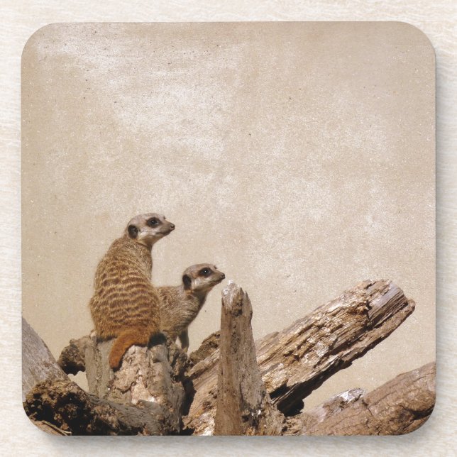 Porta-copo Meerkat Lookout (Frente)