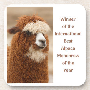 Porta-copo Melhor Sobrancelha Única de Alpaca