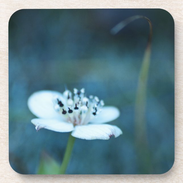 Porta-copo Memórias de Verão (Frente)