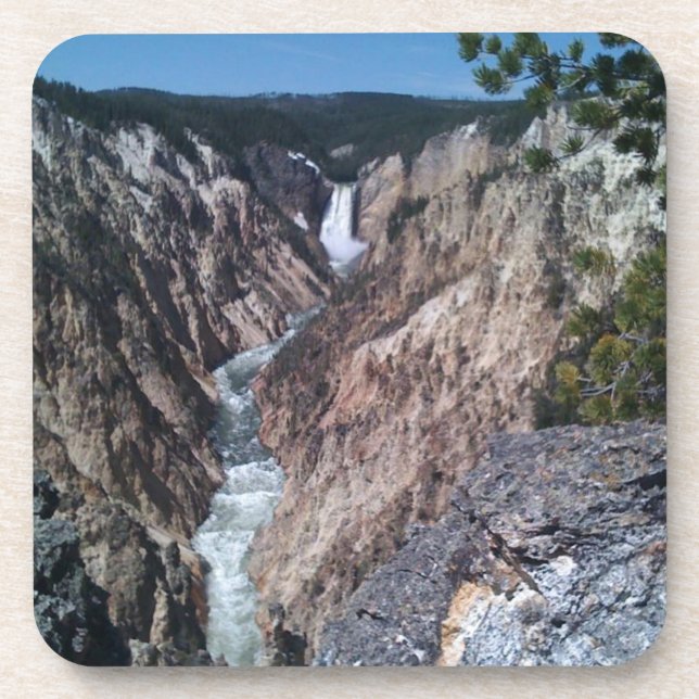 Porta-copo Menores quedas (Frente)